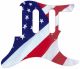 US Patriot 2