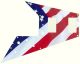 US Patriot 2