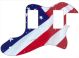 US Patriot 2