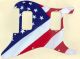 US Patriot 2
