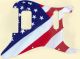 US Patriot 2