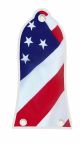 US Patriot 2