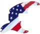 US Patriot 2