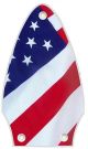 US Patriot 2