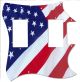 US Patriot 2
