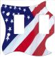 US Patriot 2