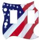 US Patriot 2