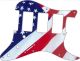 US Patriot 2