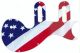 US Patriot 2