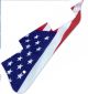 US Patriot 2