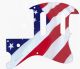 US Patriot 2