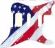US Patriot 2