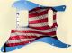 US Patriot 3
