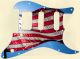 US Patriot 3