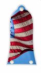 US Patriot 3