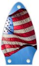 US Patriot 3