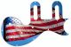 US Patriot 3