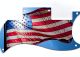 US Patriot 3