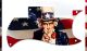 US Patriot 4