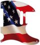 US Patriot