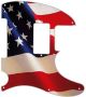 US Patriot