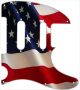 US Patriot