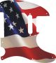 US Patriot
