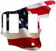 US Patriot
