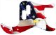 US Patriot Eagle 1