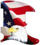 US Patriot Eagle 1