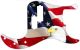 US Patriot Eagle 1