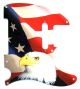 US Patriot Eagle 1