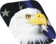 US Patriot Eagle 1