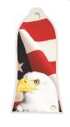 US Patriot Eagle 1