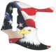 US Patriot Eagle 1