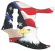 US Patriot Eagle 1