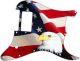 US Patriot Eagle 1