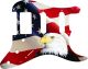 US Patriot Eagle 1
