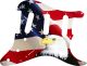 US Patriot Eagle 1