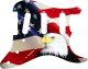 US Patriot Eagle 1 - Vintera '60s Strat