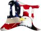 US Patriot Eagle 1