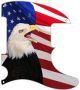 US Patriot Eagle 2