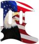 US Patriot Eagle 2