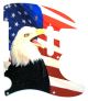US Patriot Eagle 2 - Vintera '60s Tele