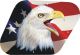 US Patriot Eagle 2