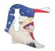 US Patriot Eagle 2