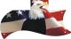 US Patriot Eagle 2