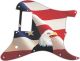 US Patriot Eagle 2