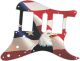 US Patriot Eagle 2