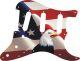 US Patriot Eagle 2